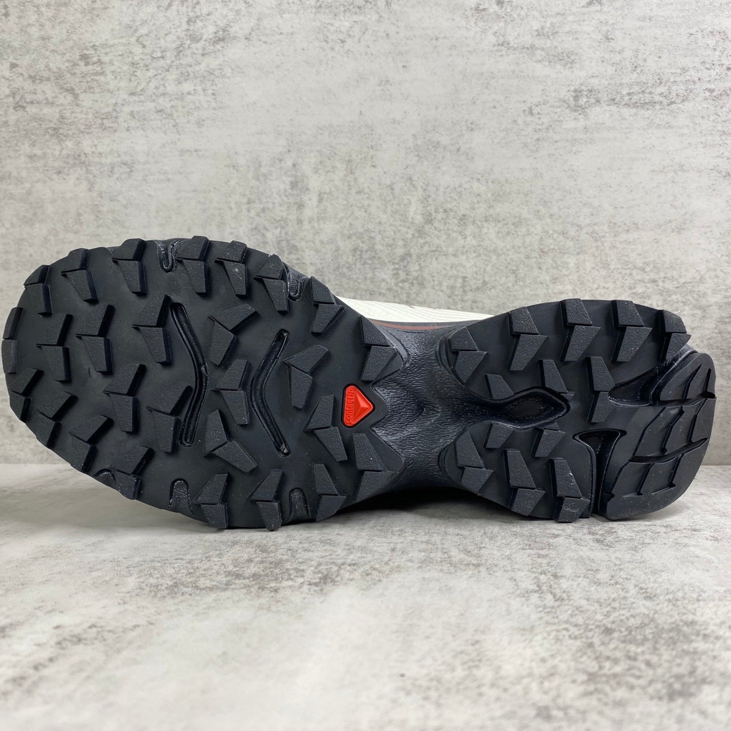 SALOMON XT-4 OG NEEDLEPIONT