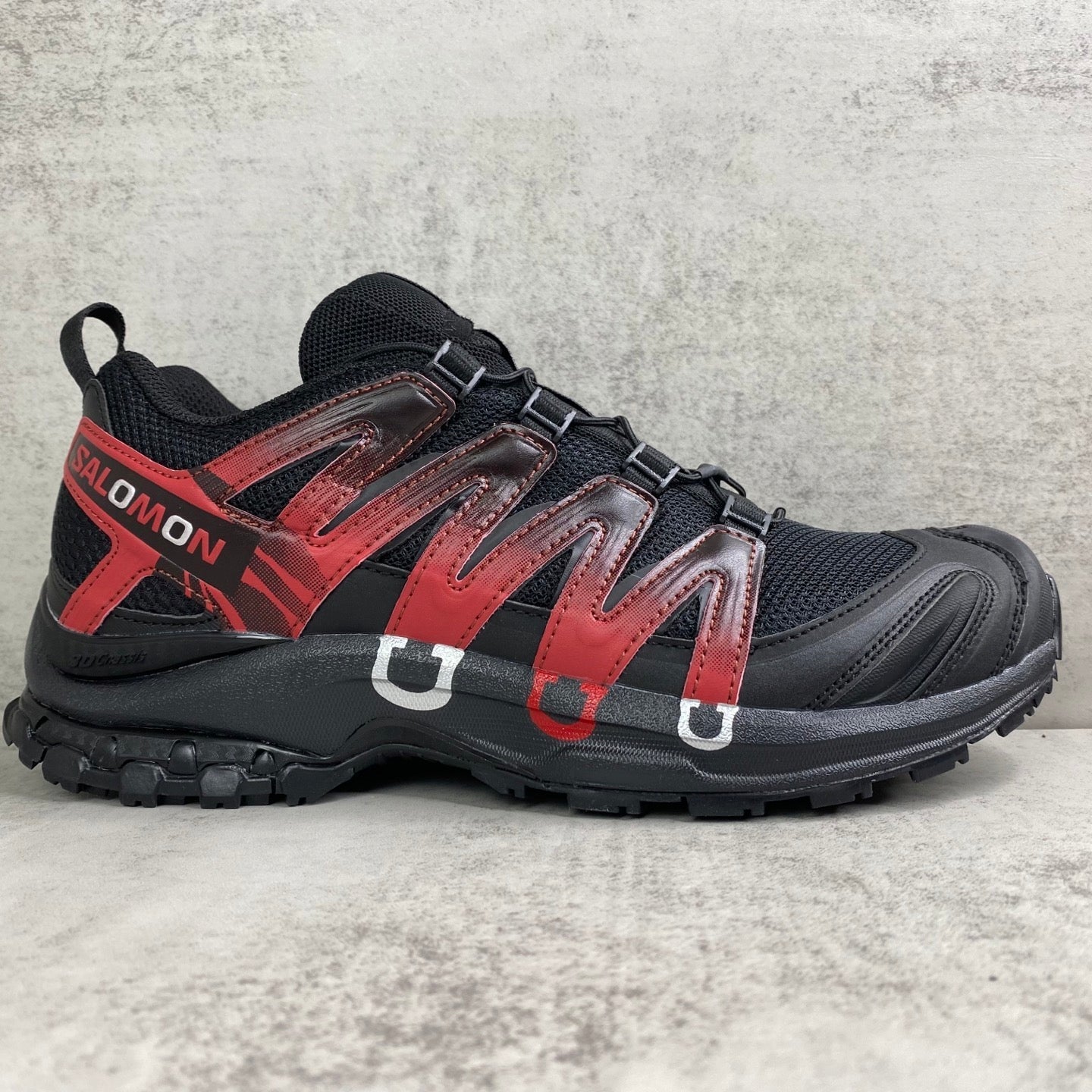 SALOMON XA-PRO 3D