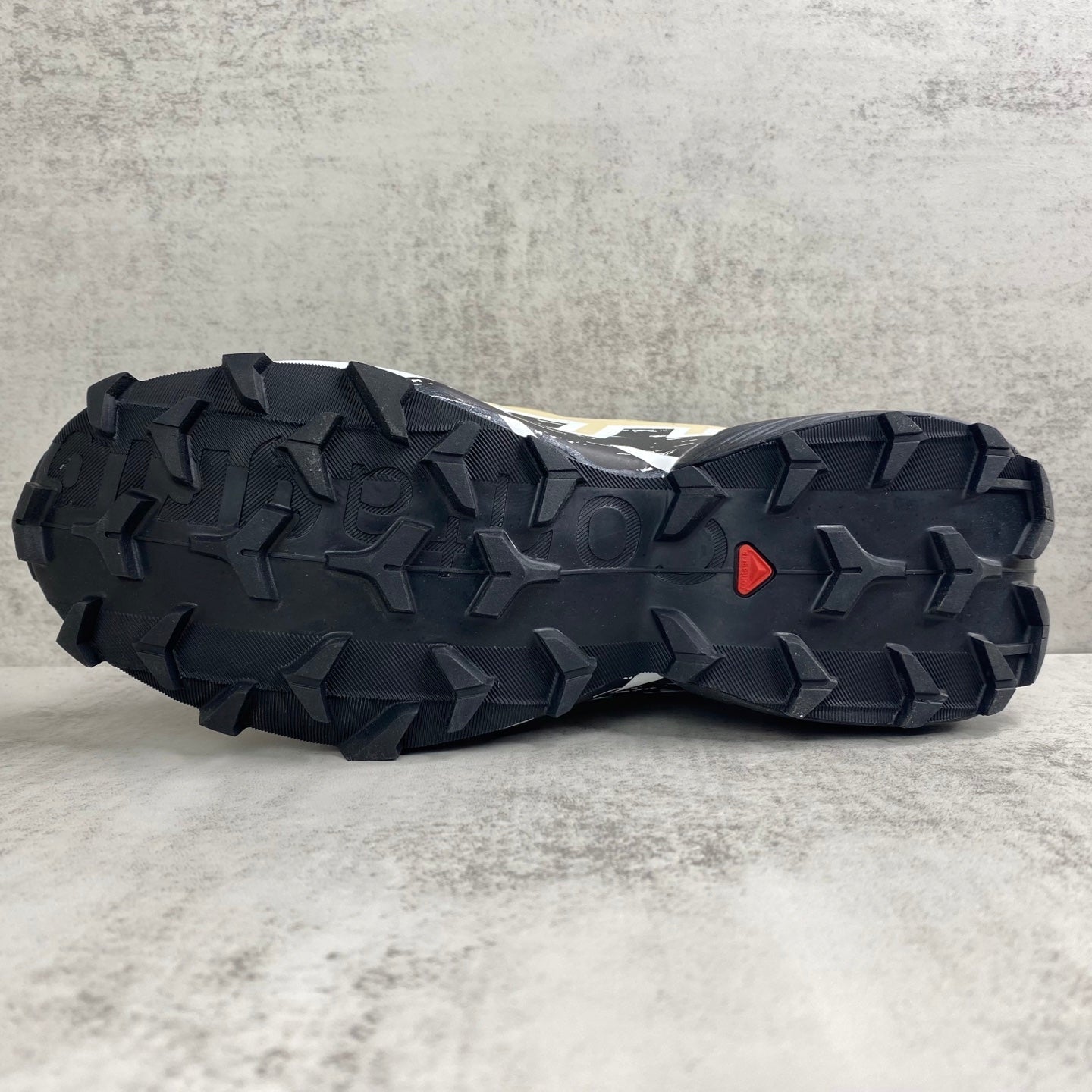 SALOMON SPEED-CROSS 6
