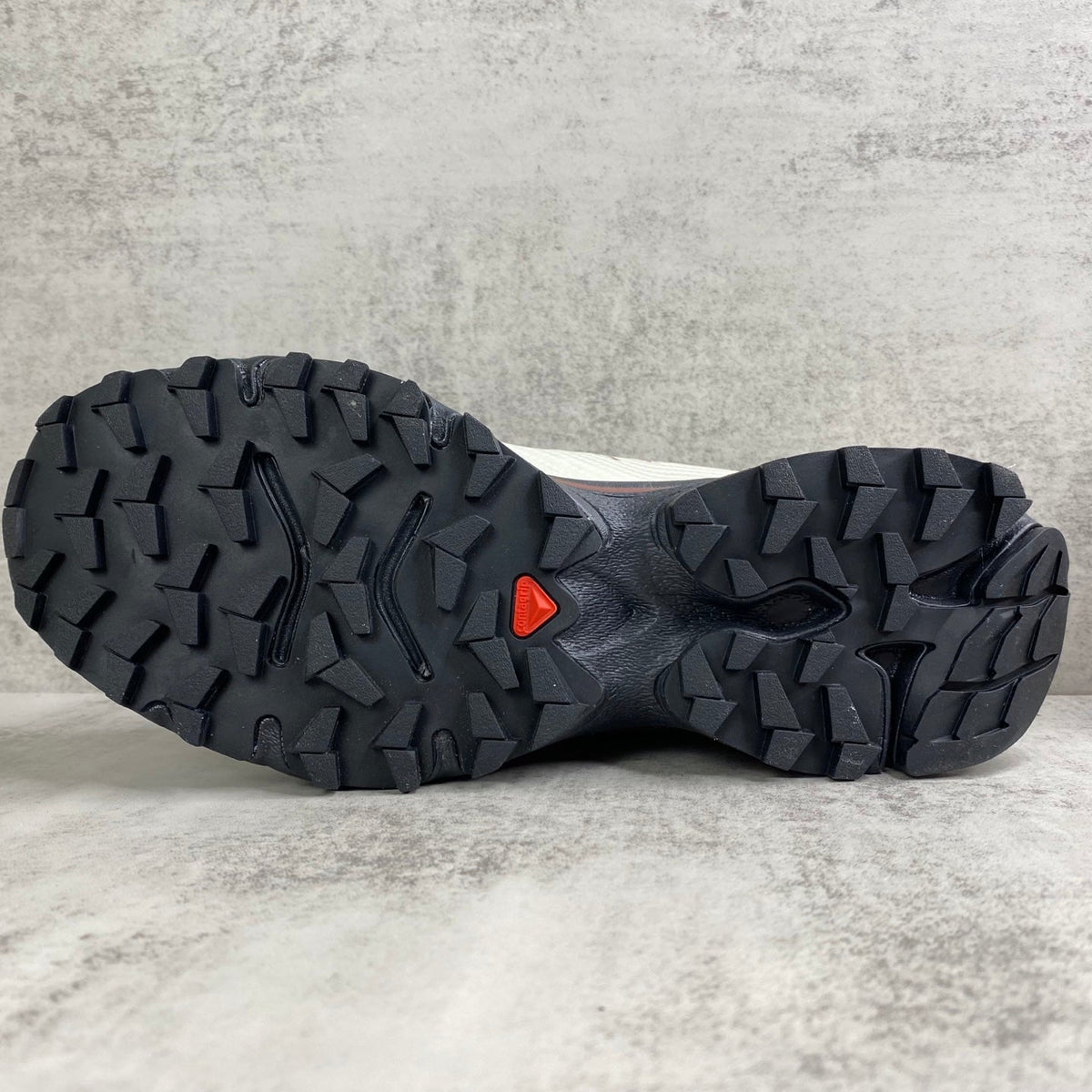 SALOMON XT-4 OG NEEDLEPIONT