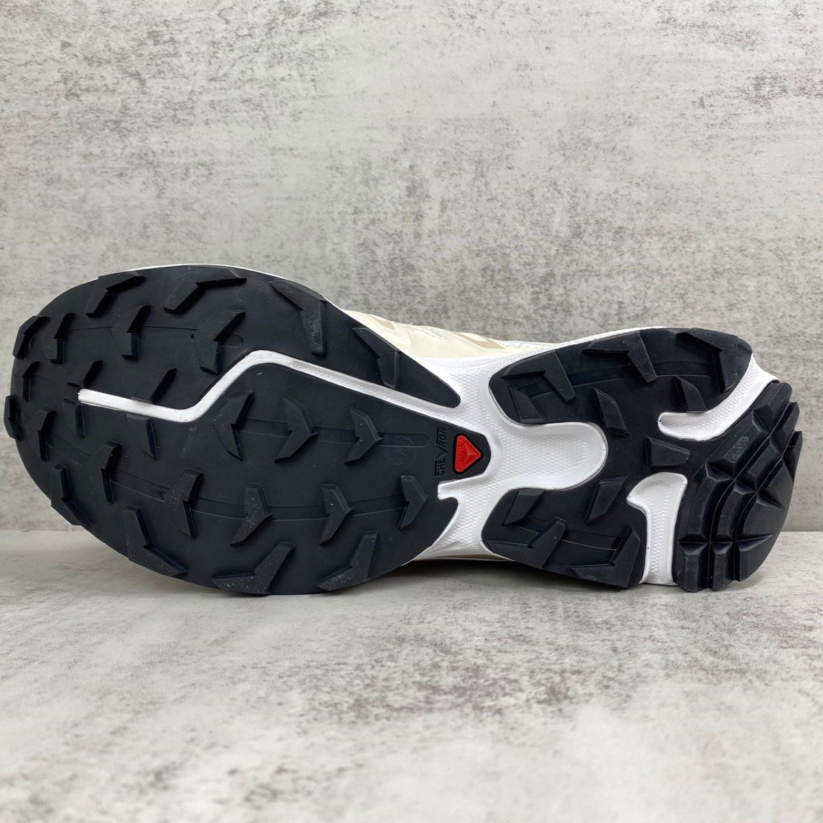 SALOMON XT-6 EXPANSE