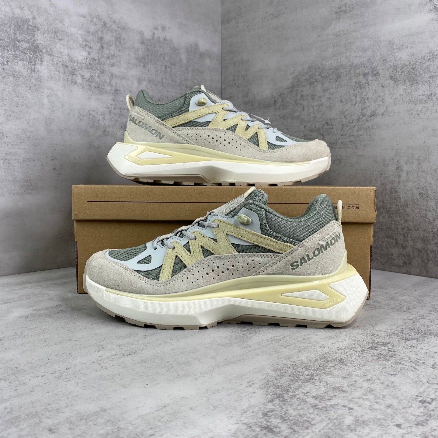 SALOMON ODYSSEY ELMT LOW