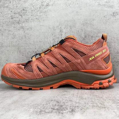 SALOMON XA-PRO 3D